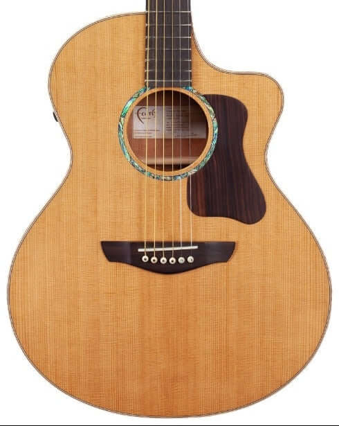 Faith LEGACY Mahogany Series Neptune CE Inc Case acoustic guitar with Sitka Spruce top.
