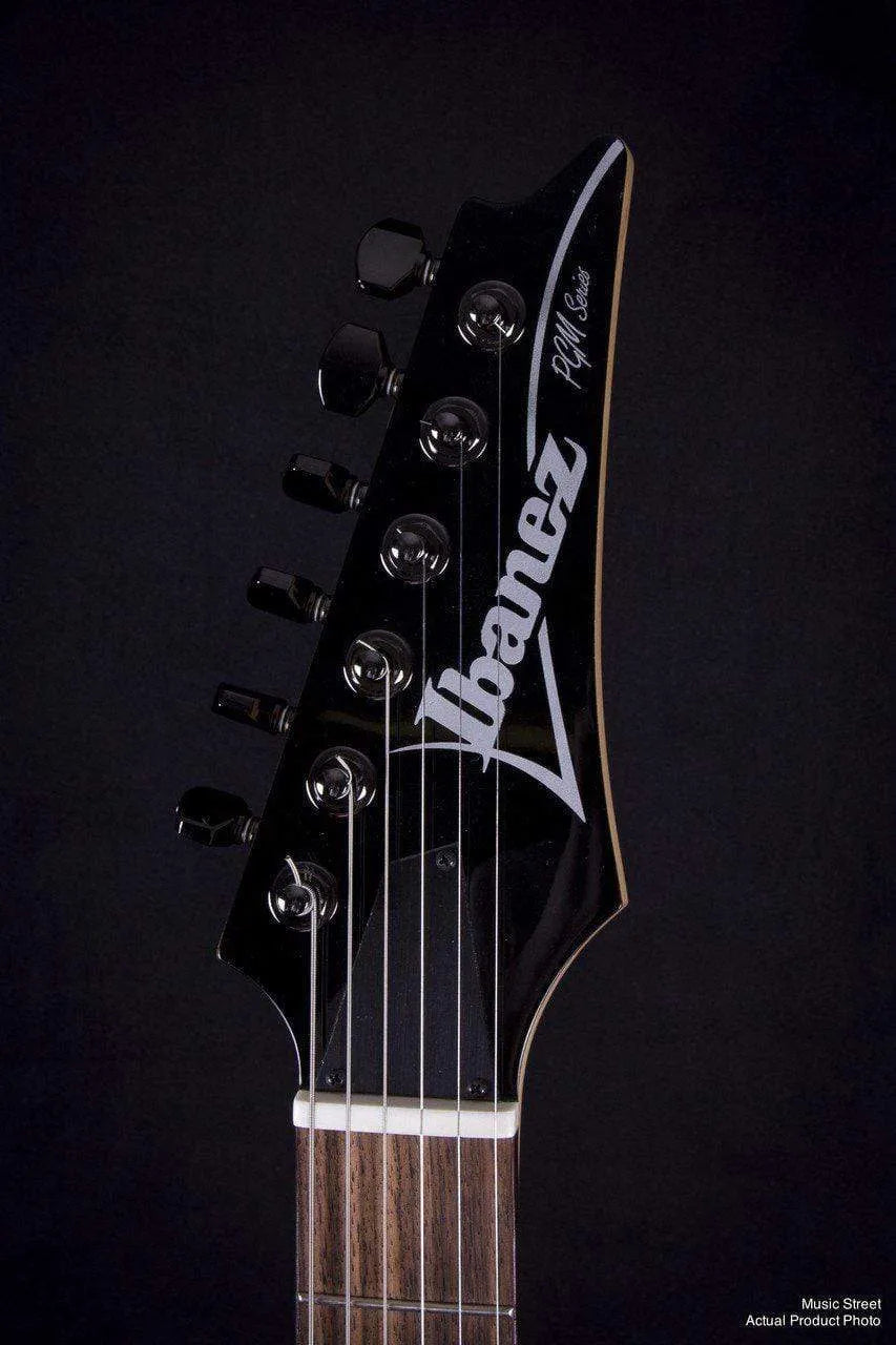 USED - Ibanez Pgm401