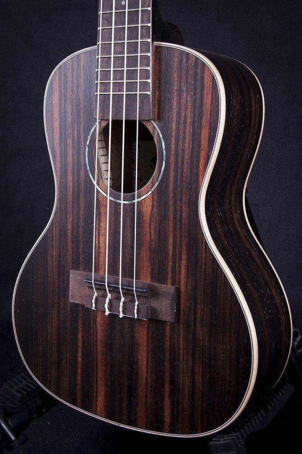 Kala Eby-C Ebony Concert Ukulele