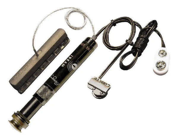 Lr Baggs Ibeam Dual Channel System