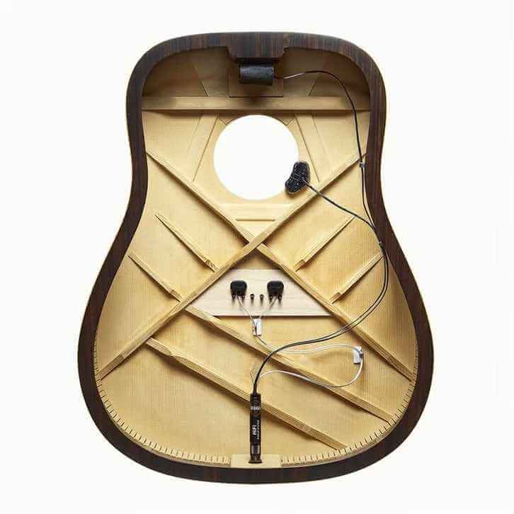 L.R Baggs HiFi Pickup system.