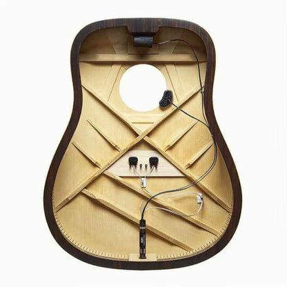 L.R Baggs HiFi Pickup system.