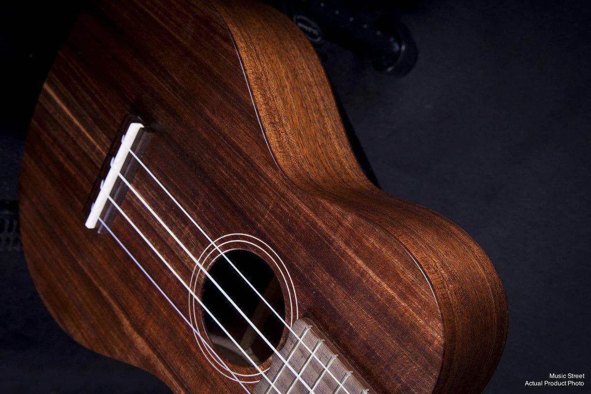 Maton Concert Ukelele - Blackwood