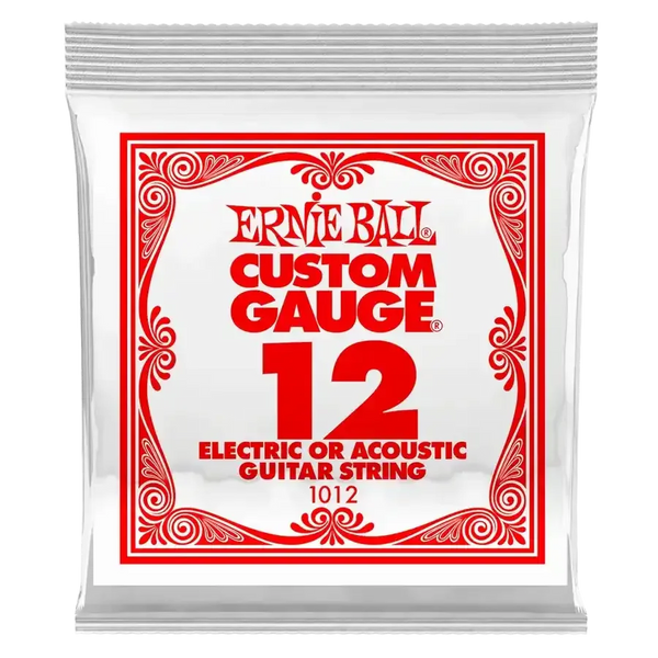 Ernie Ball P01012 - MusicStreet