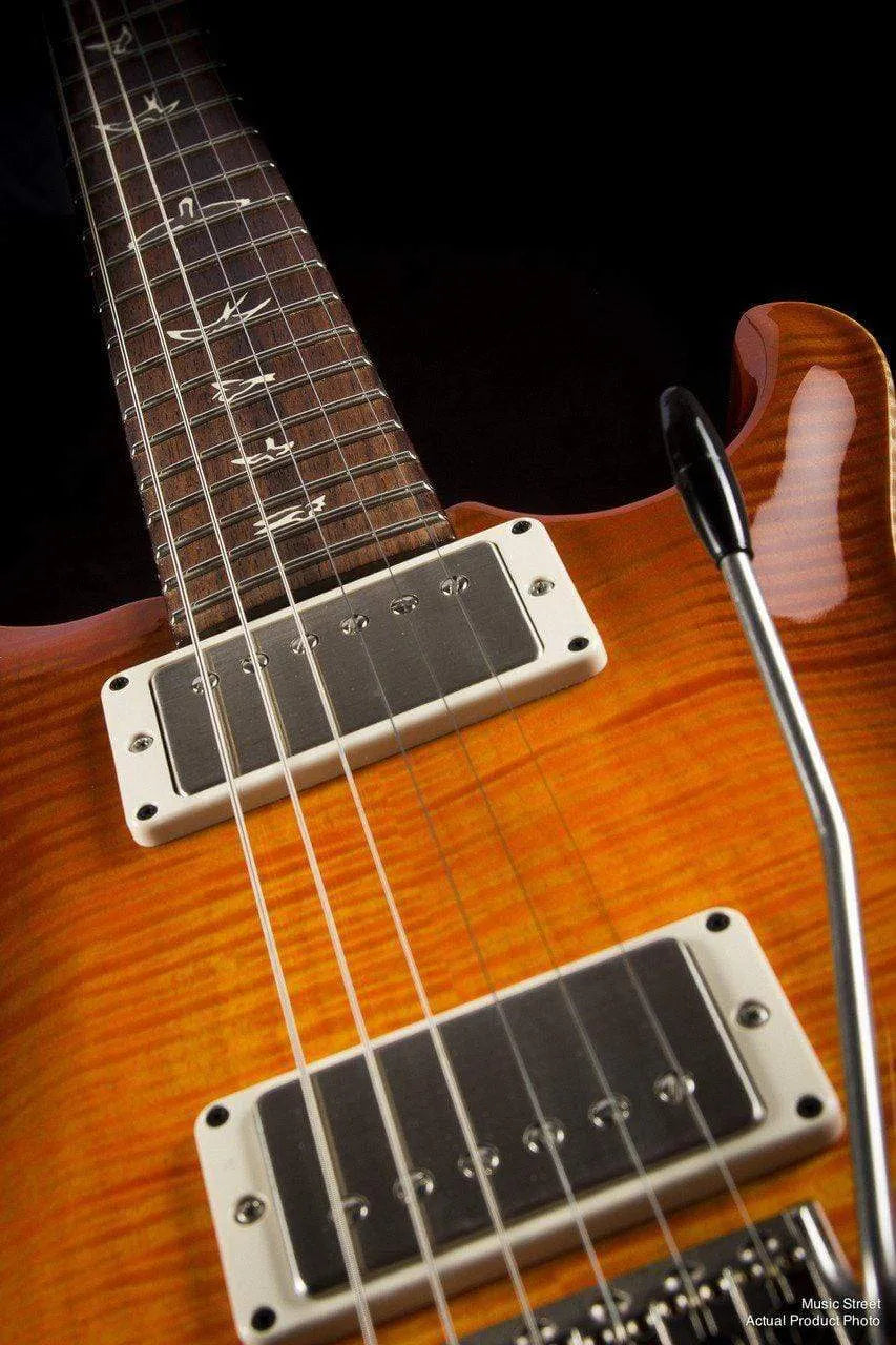 USED - PRS Dgt Solana Burst Birds 10 Top (2011)