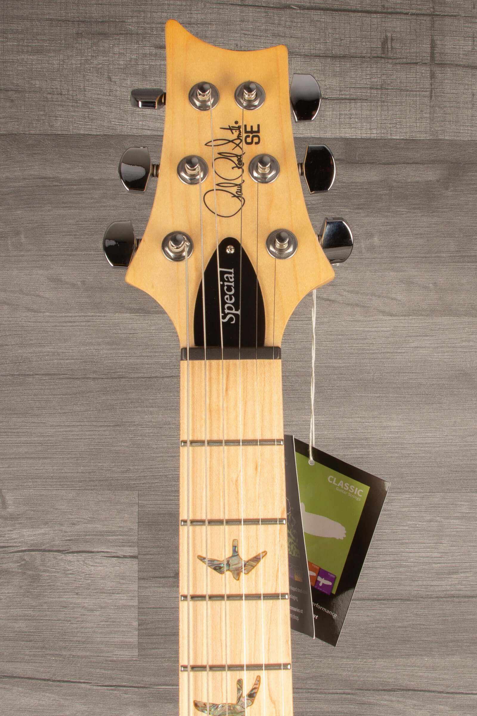 PRS - SE Swampash Electric Guitar - Iri Blue
