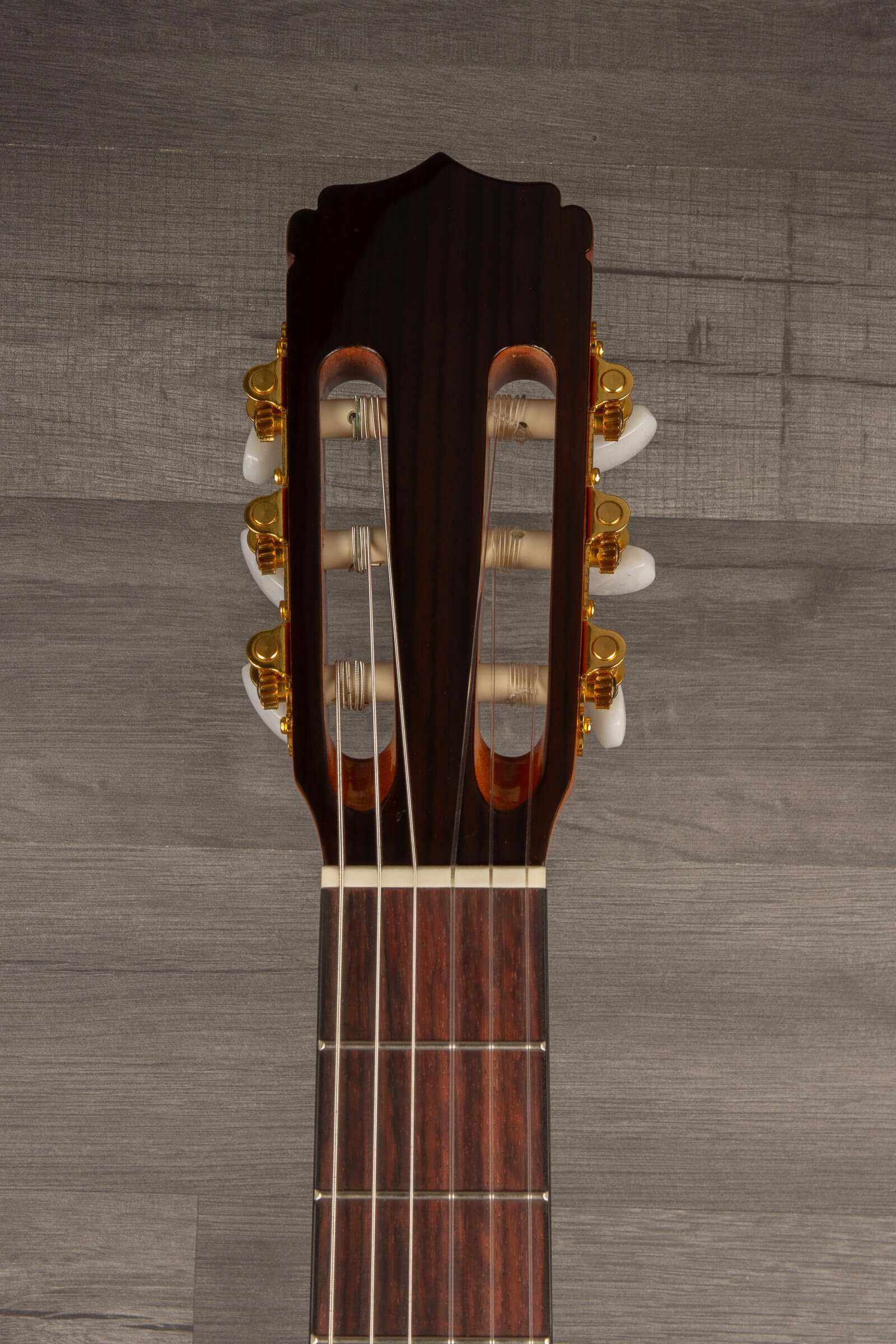 Aria Classical Guitar A-20N