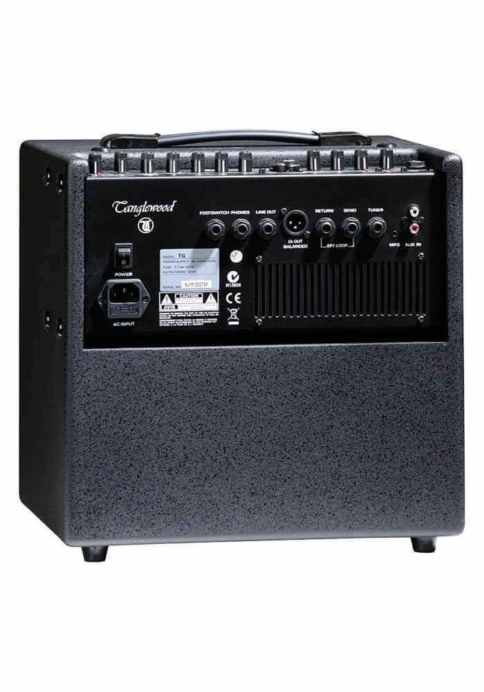 Tanglewood T6 Acoustic Guitar Amplifier