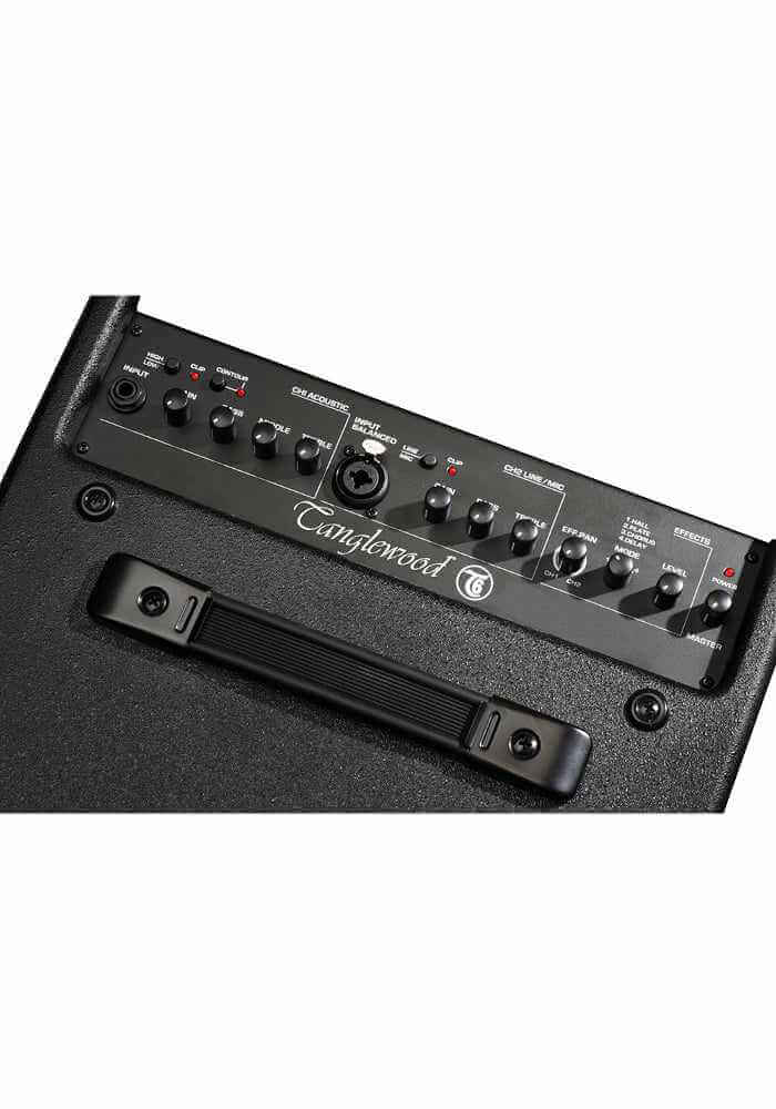 Tanglewood T6 Acoustic Guitar Amplifier