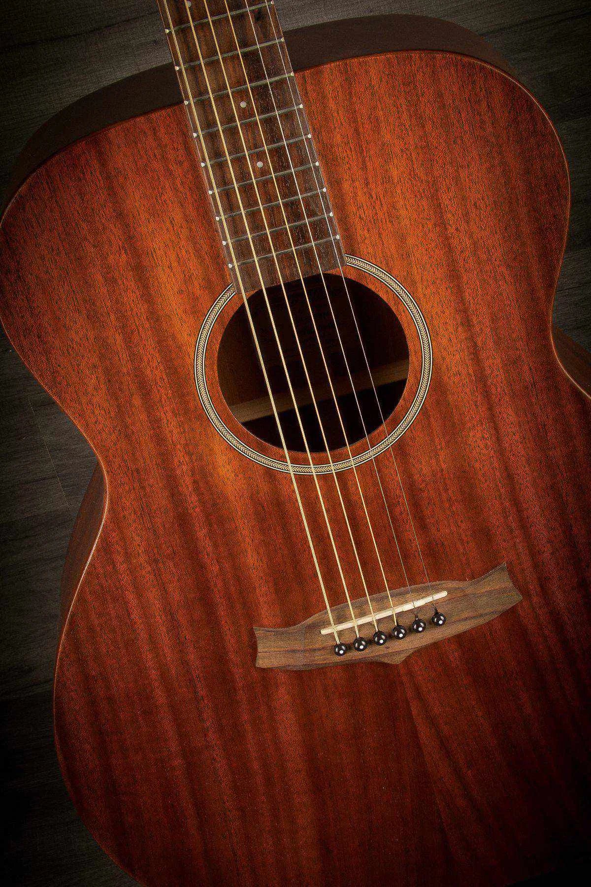 Tanglewood TW130SM, Acoustic Guitar