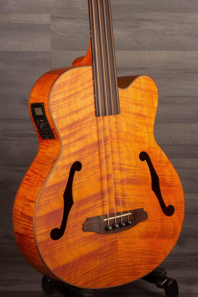 Aria FEB F2M/FL Medium scale Fretless Acoustic Bass Natural