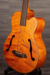 Aria FEB F2M/FL Medium scale Fretless Acoustic Bass Natural - MusicStreet