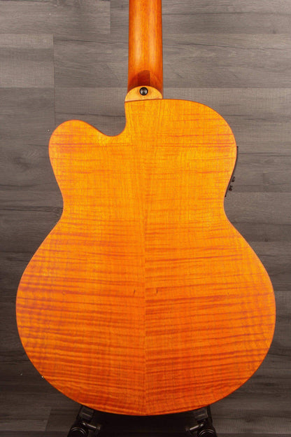 Aria FEB F2/FL Fretless Acoustic Bass Natural