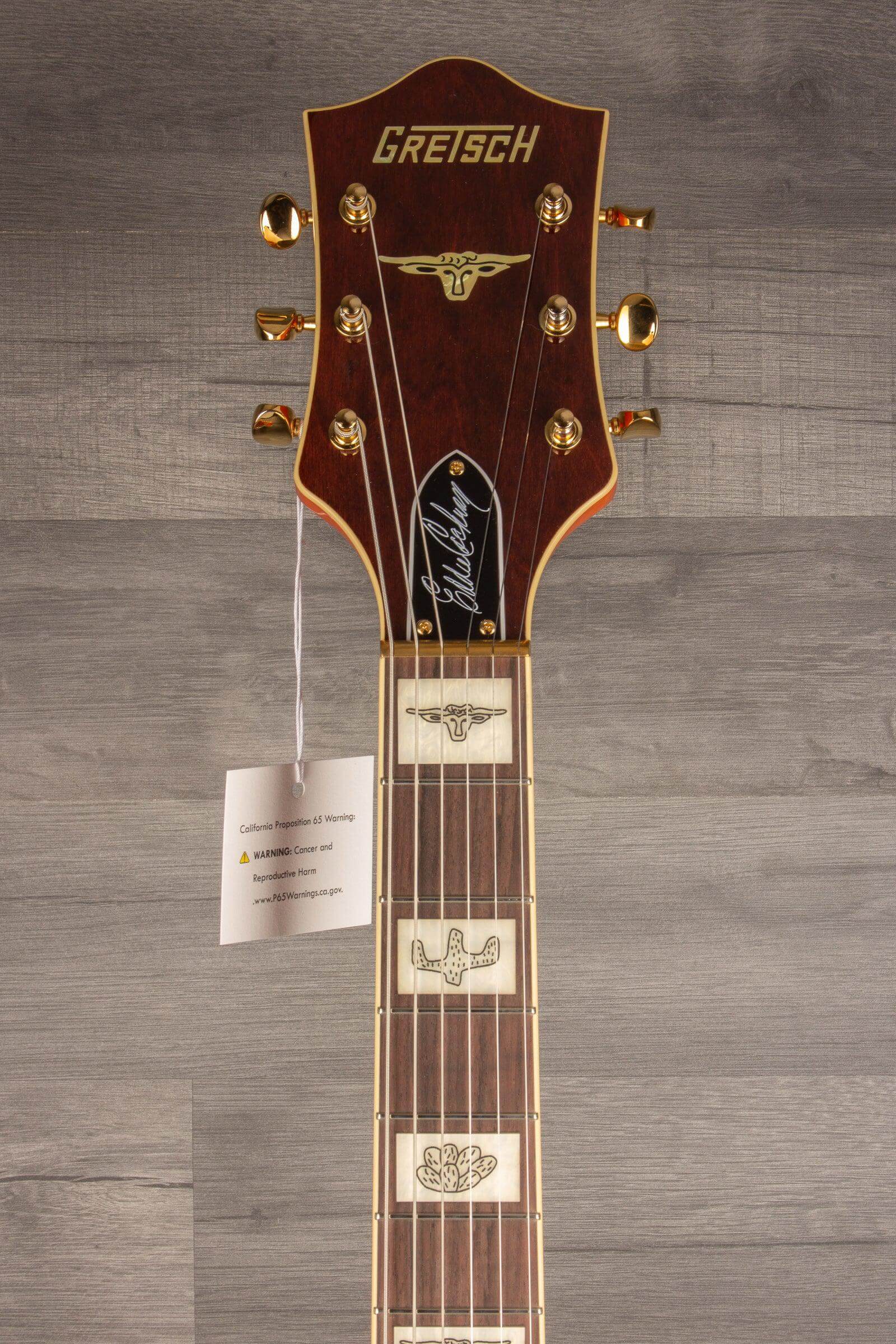 Gretsch G6120 Eddie Cochran Signature Hollow Body Electric Guitar
