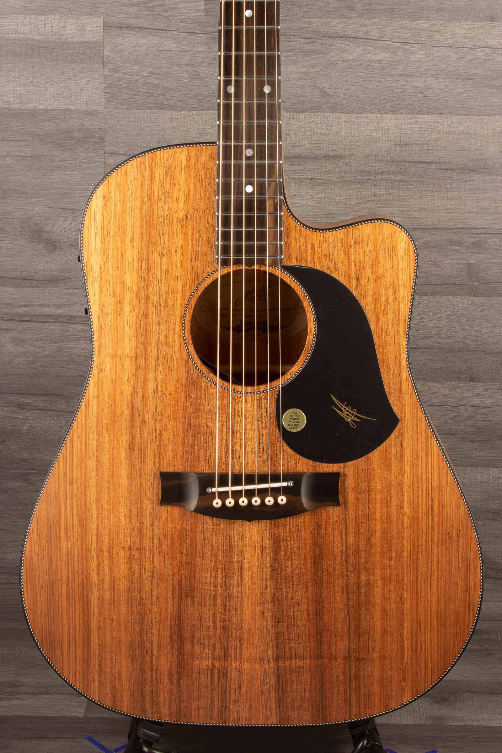 Maton EBW70C Blackwood - Acoustic Guitar