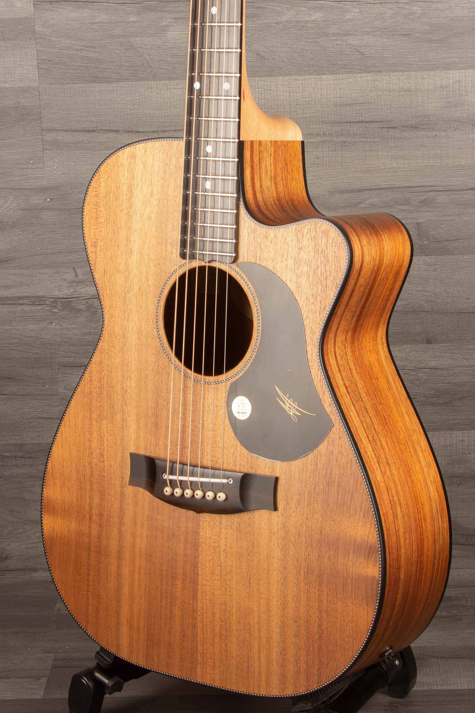 Maton EBW808C Blackwood - Acoustic Guitar