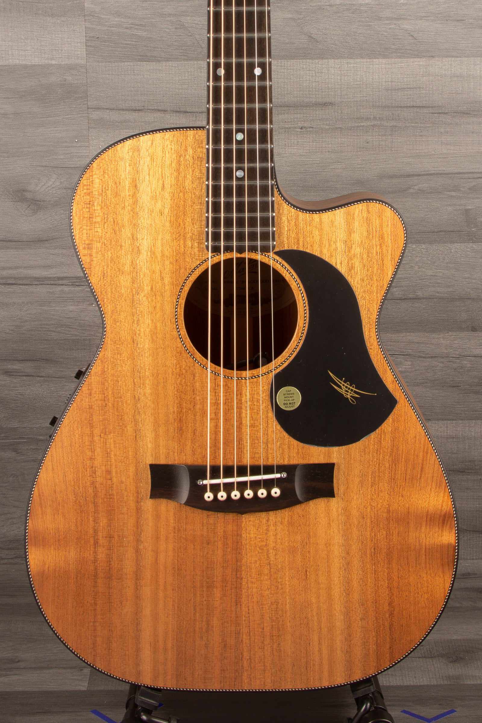 Maton EBW808C Blackwood - Acoustic Guitar