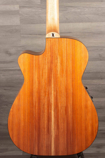 Maton EBW808C Blackwood - Acoustic Guitar