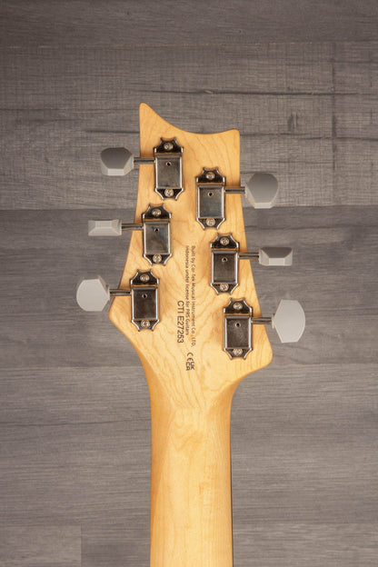PRS SE Silver Sky - Stone Blue