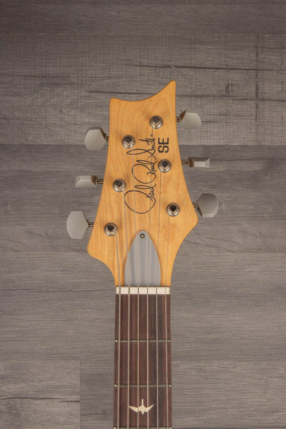 PRS SE Silver Sky - Stone Blue