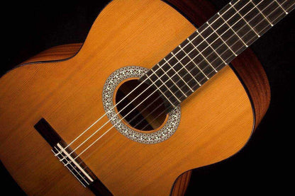 Admira Diana Guitar