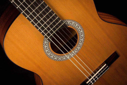 Admira Diana Guitar
