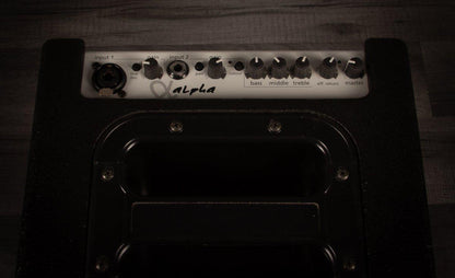 USED - Aer Alpha 40W Acoustic Amplifier inc gig bag