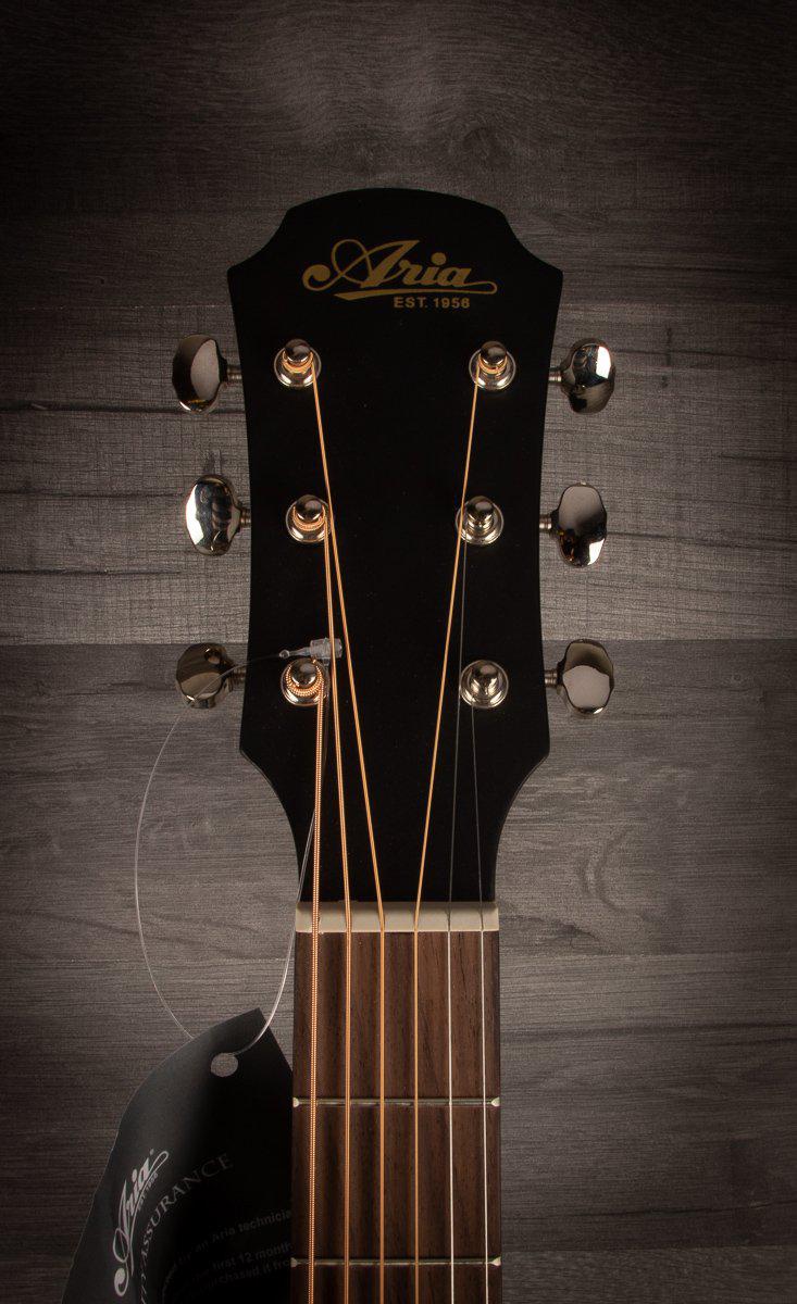 Aria 101 MTBK - Acoustic Guitar