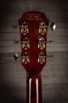 Aria Acoustic Guitar Aria MSG-02CE Sunburst