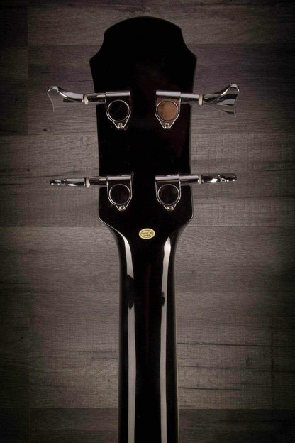 Aria Feb-30M Black Acoustic - Bass Guitar