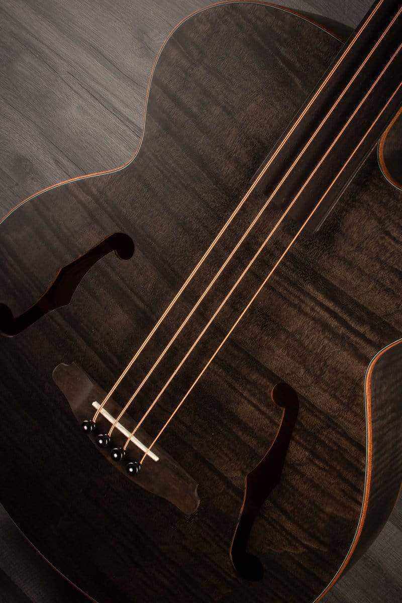 Aria FEB - F2/FL STBK Fretless Electro - Acoustic Bass Guitar