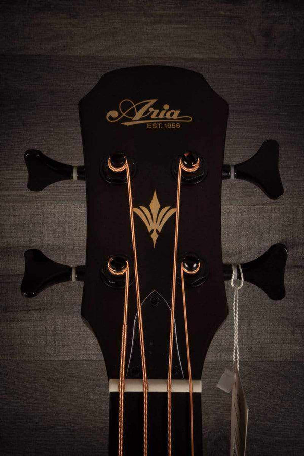 Aria Feb-F2/FL Stbk Fretless Electro-Acoustic Bass - MusicStreet
