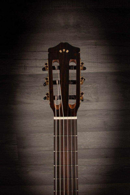 Cordoba Gk Studio Spruce