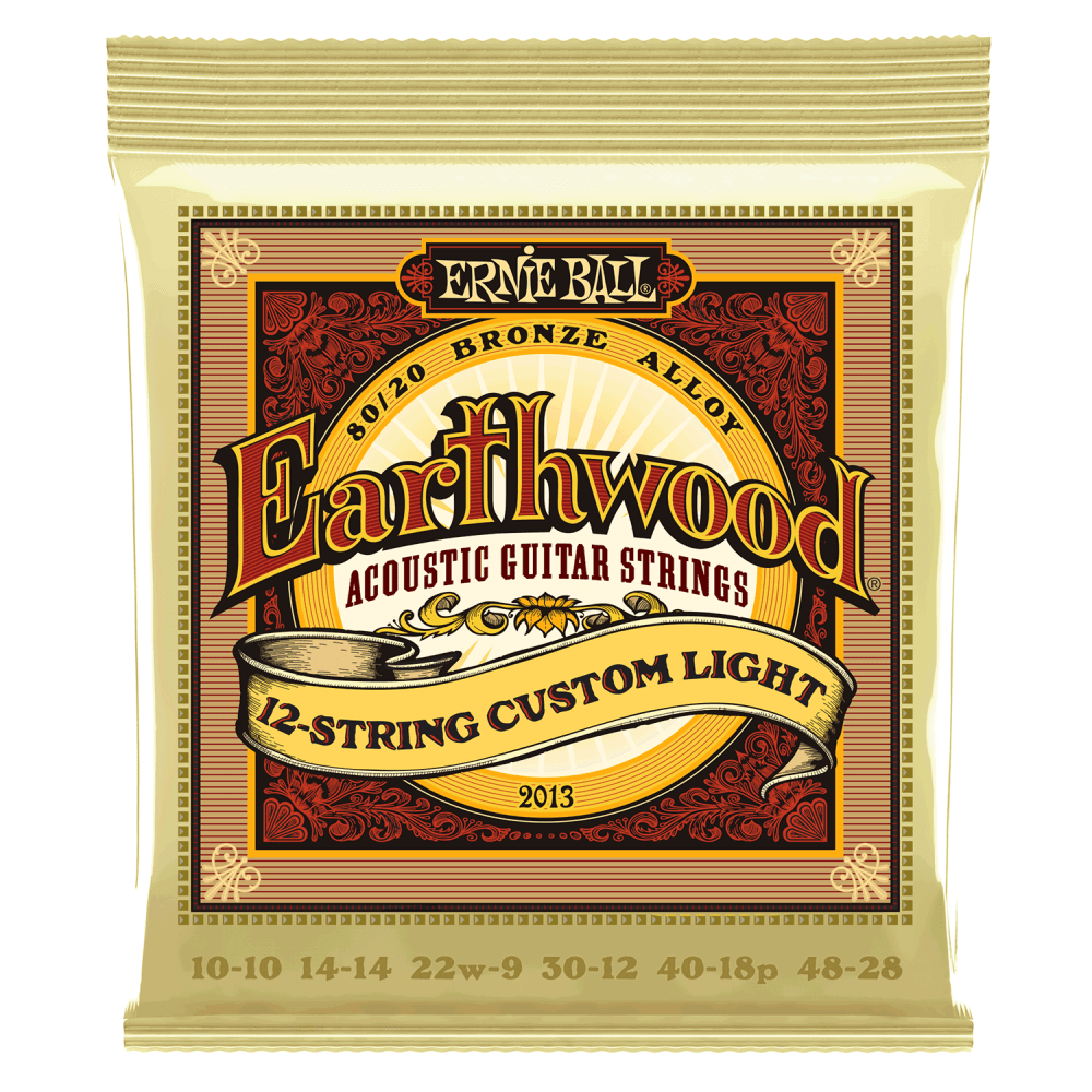 Ernie Ball 2013 Earthwood 12 String Bronze Acoustic Guitar Strings Custom Light
