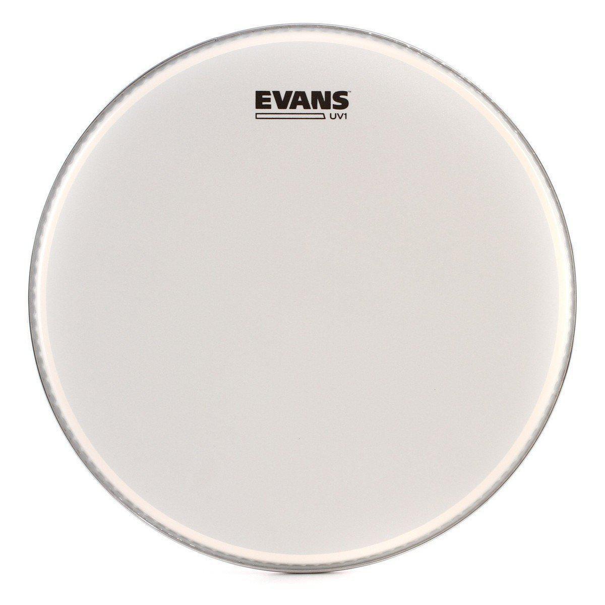 Evans 12