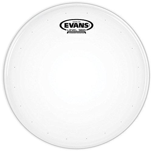 Evans 14" Gen Dry Coated