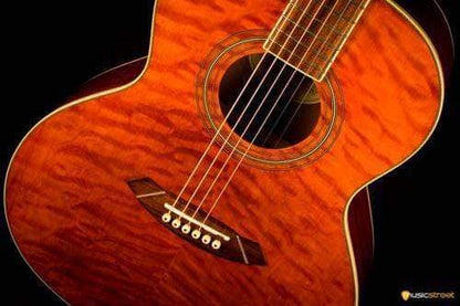 USED - Fender Gdo 300 Acoustic Guitar