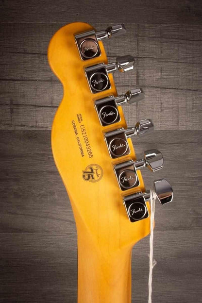 Fender American Professional II Telecaster - Mercury - Rosewood