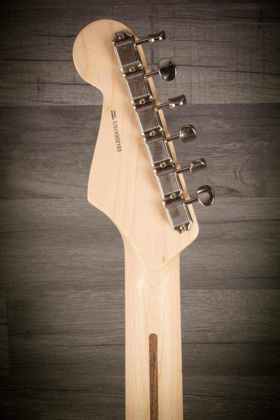 Fender Eric Clapton Stratocaster - Pewter