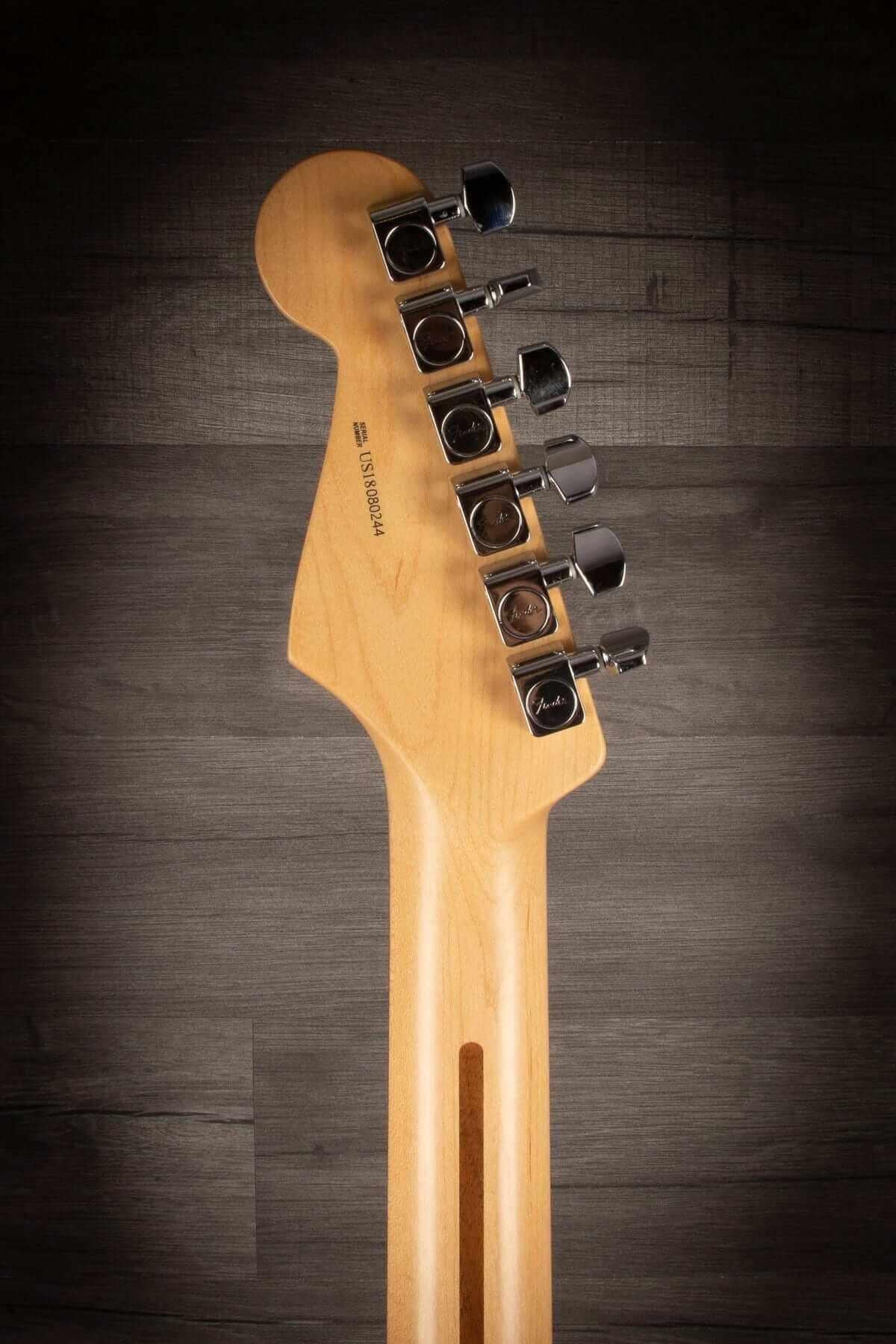 USED - Fender 2018 Ltd Edition American Professional Light Ash Stratocaster RW Aged Natural