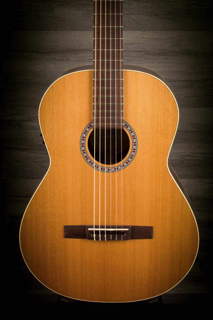 Godin Collection