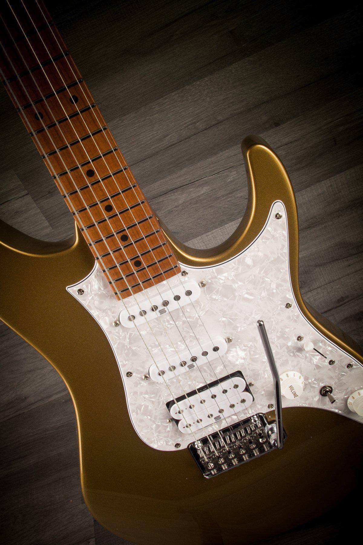 Ibanez AZ2204-GD
