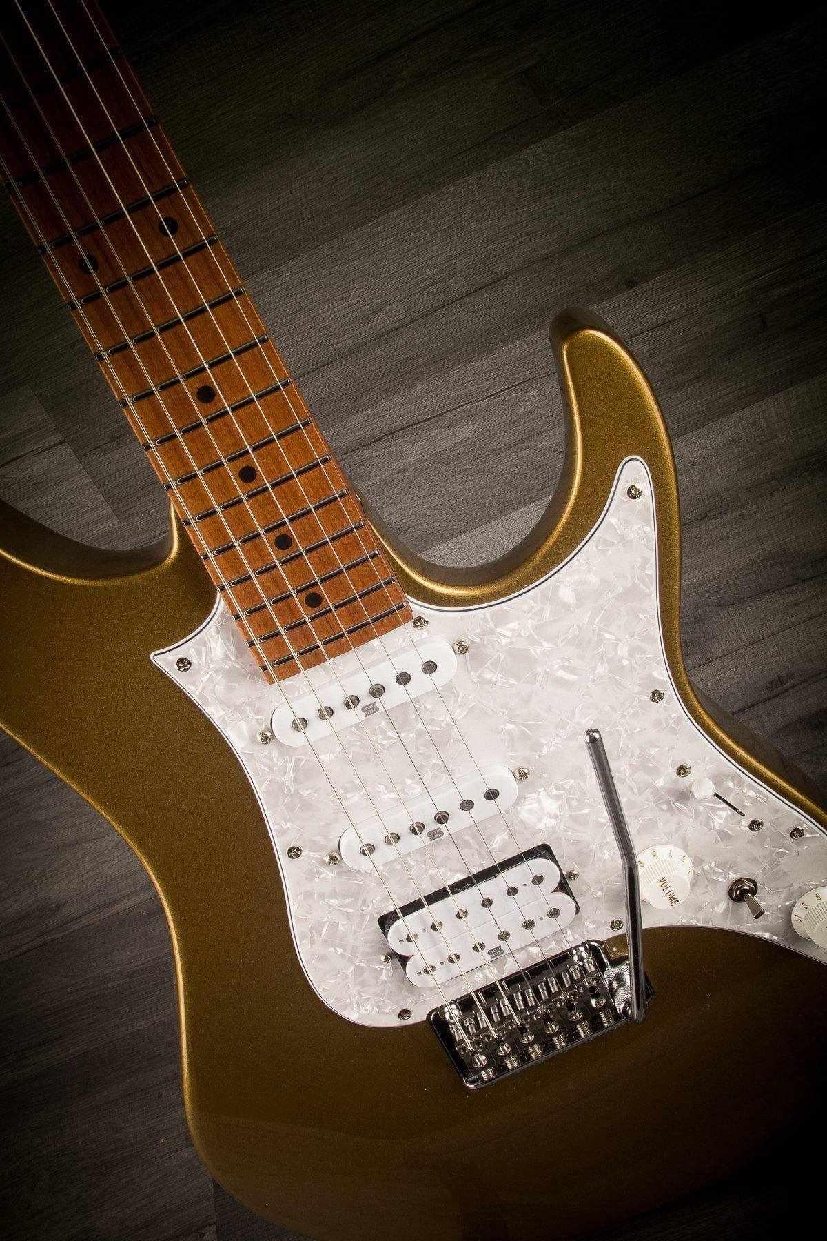Ibanez AZ2204-GD
