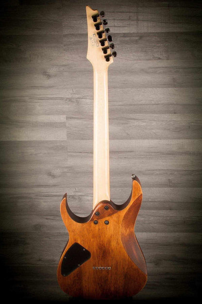 USED - Ibanez RG421 Standard