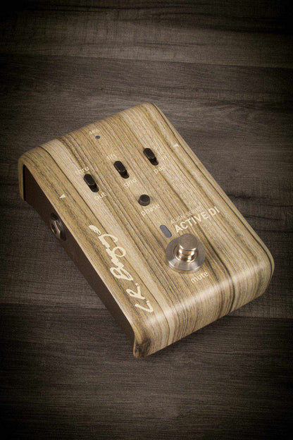 L.R. Baggs - Align Series Active DI