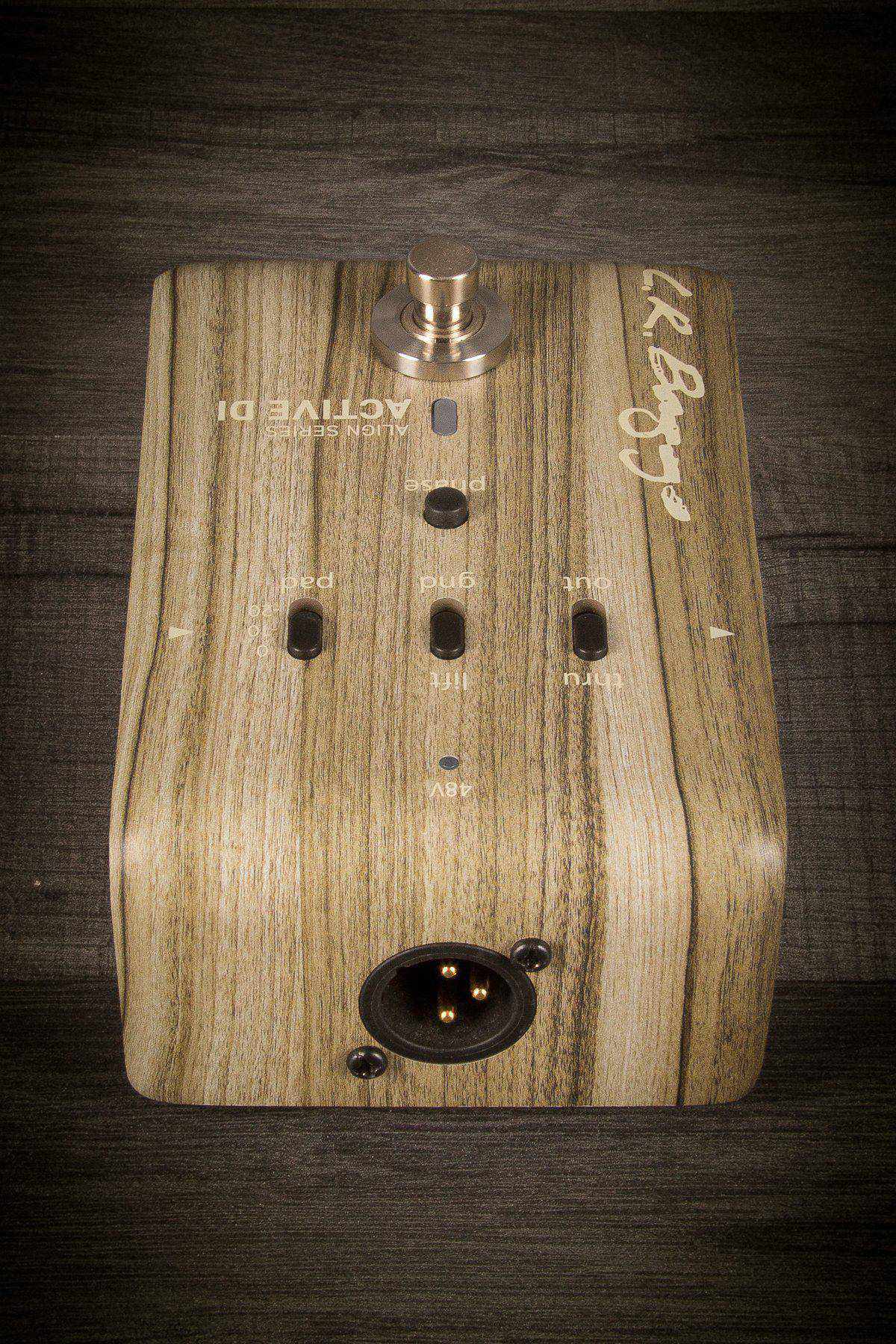 L.R. Baggs - Align Series Active DI