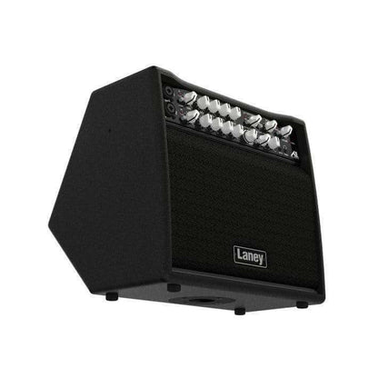 Laney A1+