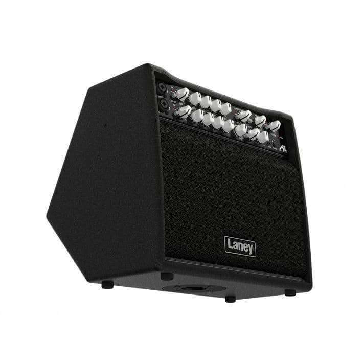 Laney A1+
