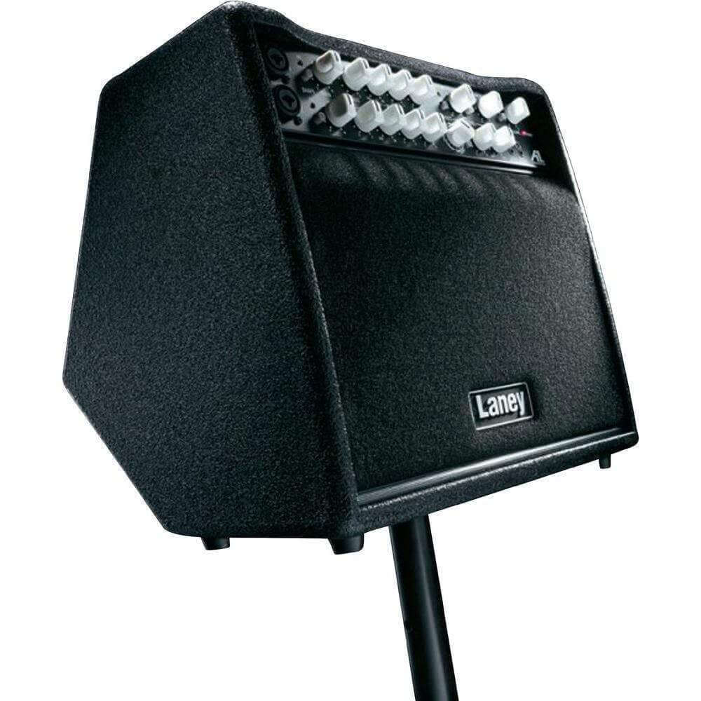 Laney A1+