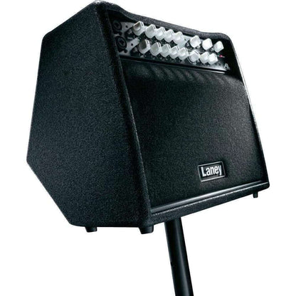 Laney A1+